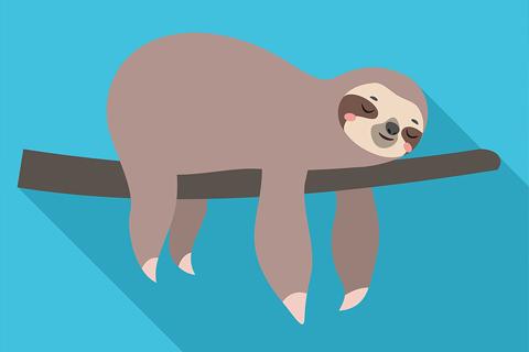 sloth