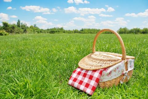 picnic