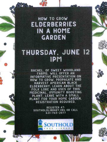 Elderberries