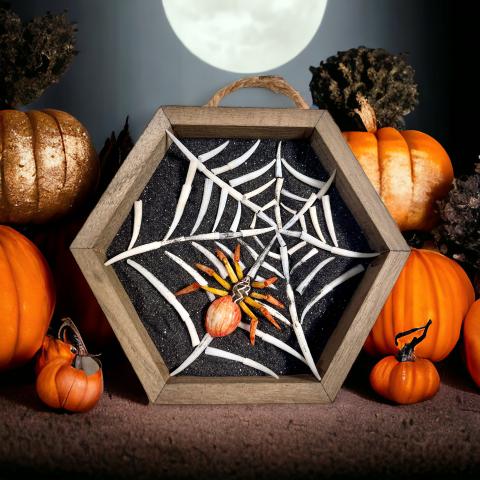 spider