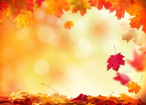 fall