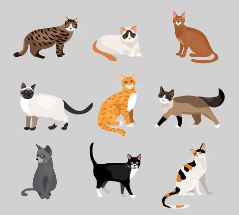 cats