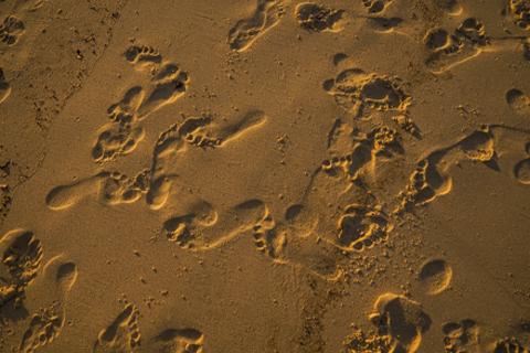 footsteps