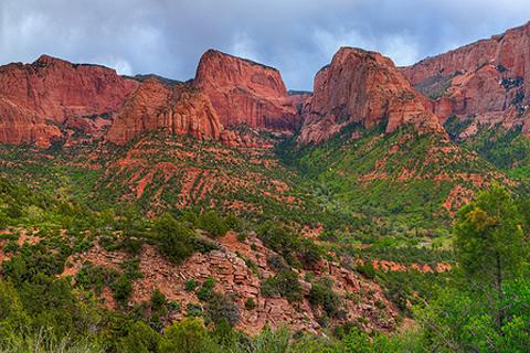 Zion National Park