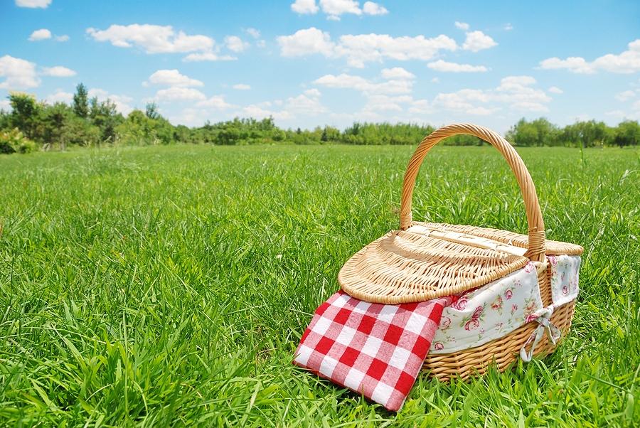 picnic
