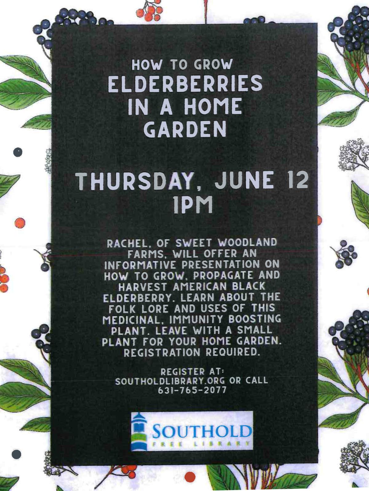 Elderberries