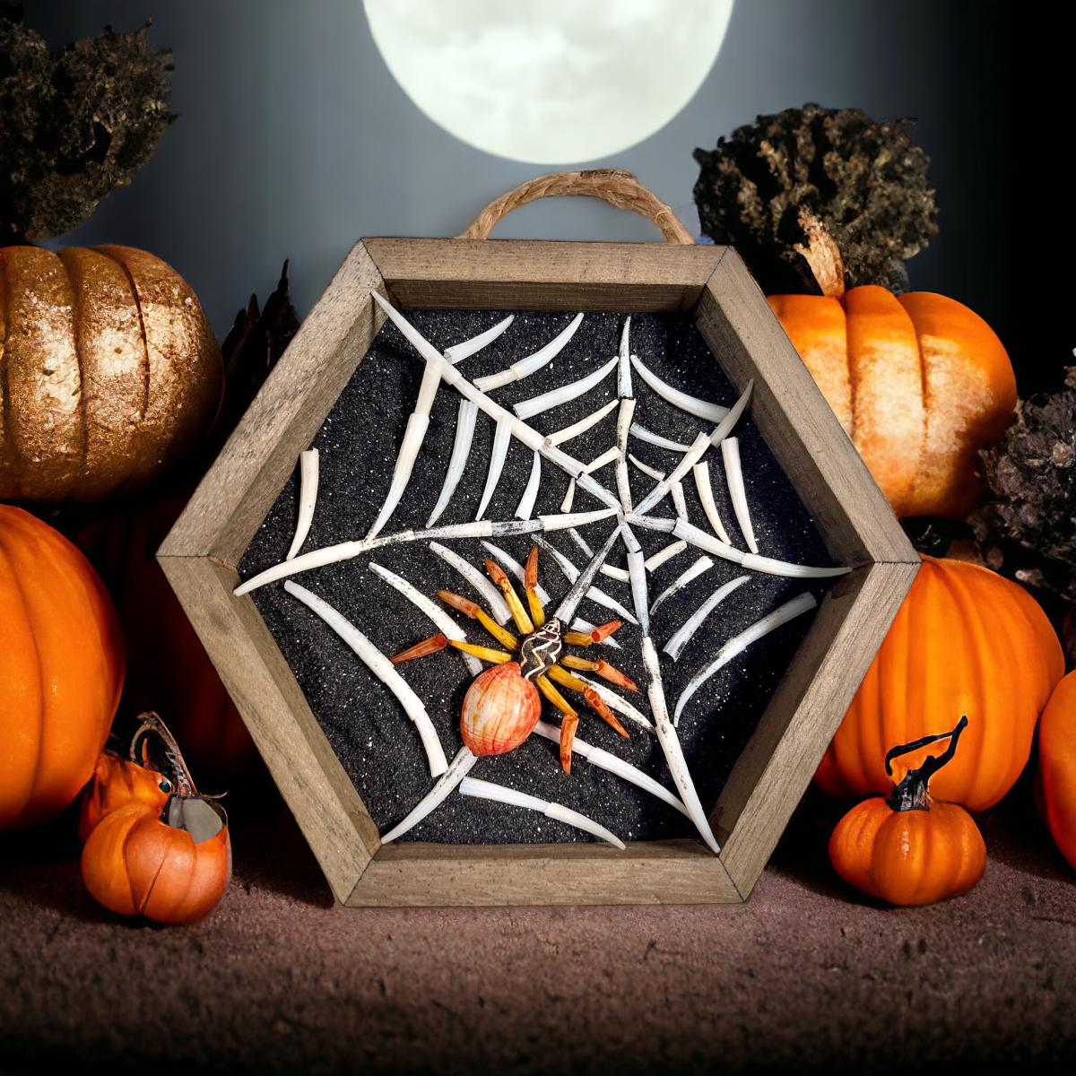 spider